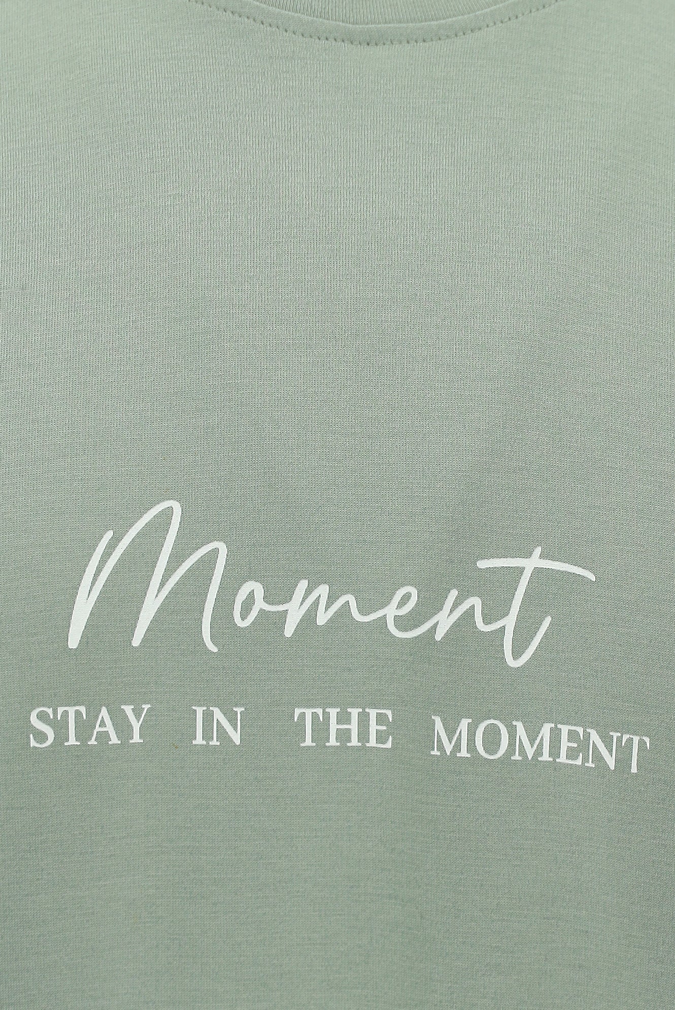 Çağla Yeşili Bisiklet Yaka Slim Fit Dar Kesim Baskılı T-shirt