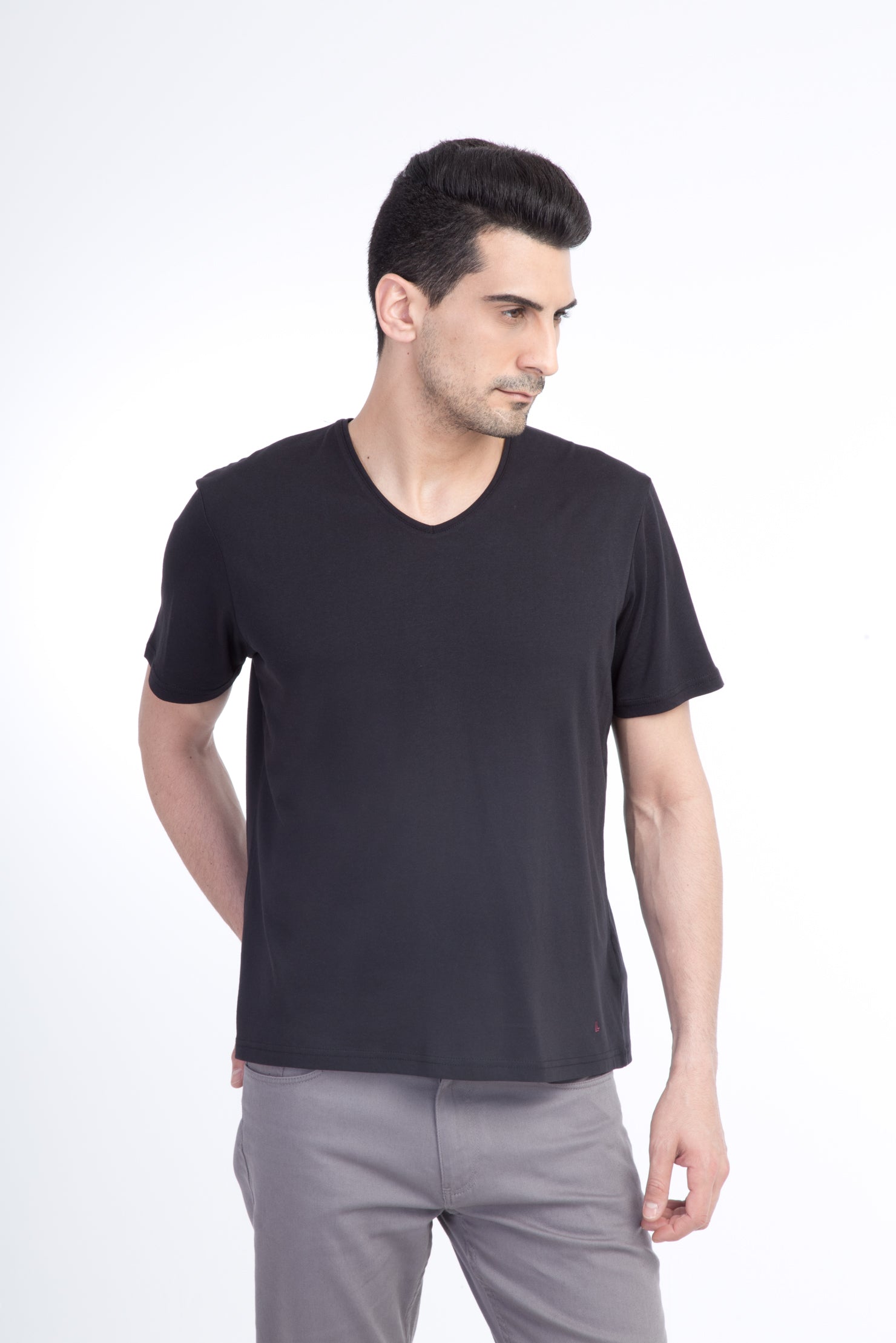 Siyah V Yaka Regular Fit T-shirt