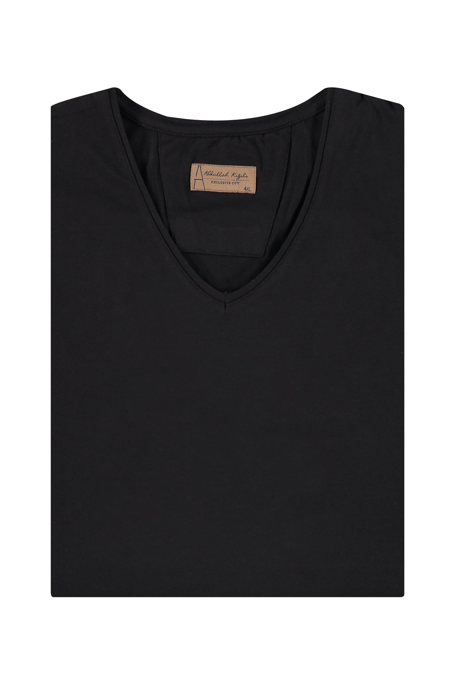 Siyah Büyük Beden V Yaka Regular Fit T-shirt