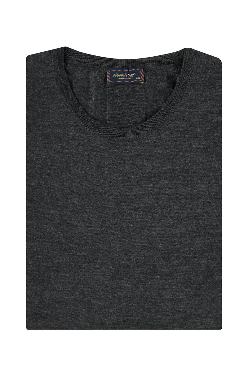 Antrasit Büyük Beden Bisiklet Yaka Regular Fit Yünlü Triko Kazak