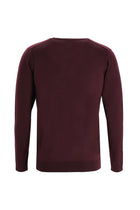 Koyu Bordo V Yaka Regular Fit Yünlü Triko Kazak