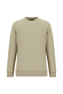 Orta Bej Bisiklet Yaka Regular Fit Pamuklu Nakışlı Sweatshirt