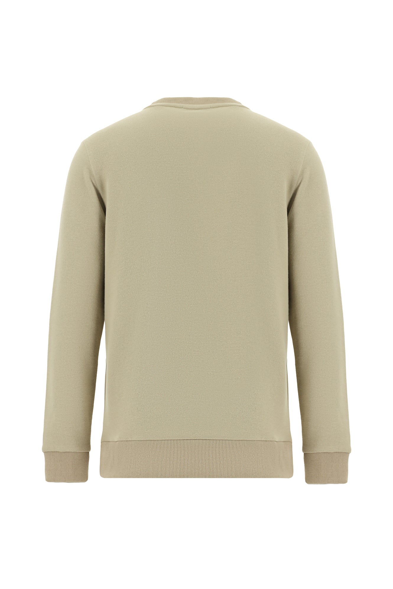 Orta Bej Bisiklet Yaka Regular Fit Pamuklu Nakışlı Sweatshirt