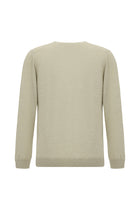 Açık Bej V Yaka Regular Fit Nakışlı Yün Triko Kazak