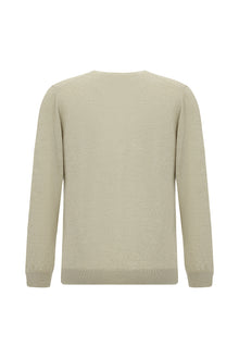 Açık Bej V Yaka Regular Fit Nakışlı Yün Triko Kazak