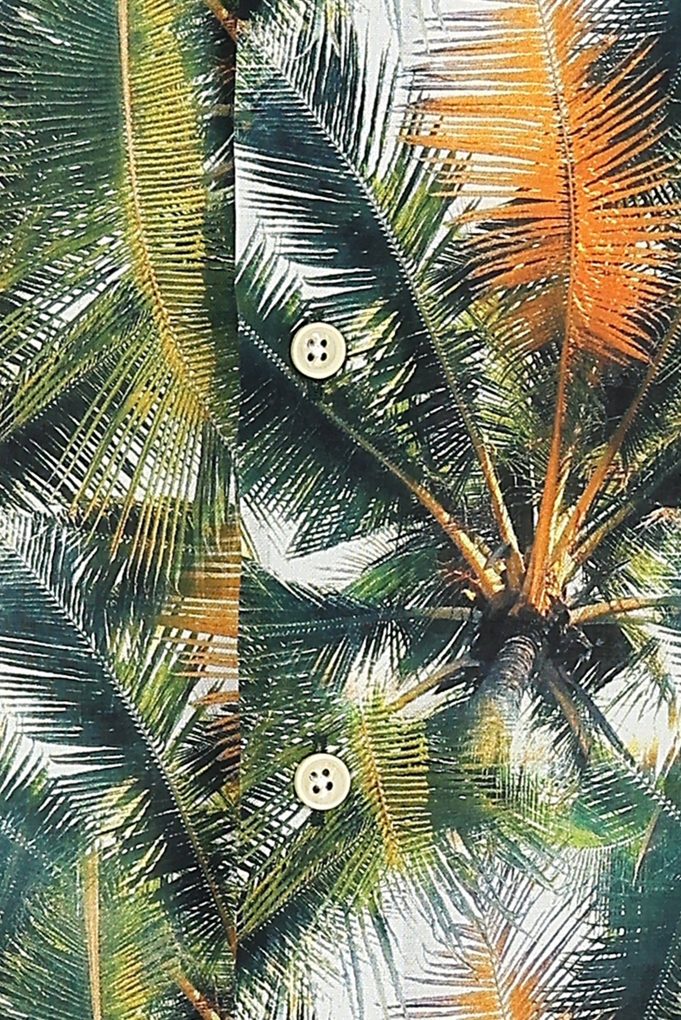 Çimen Yeşili Uzun Kol Slim Fit Dar Kesim Baskılı Pamuk Gömlek