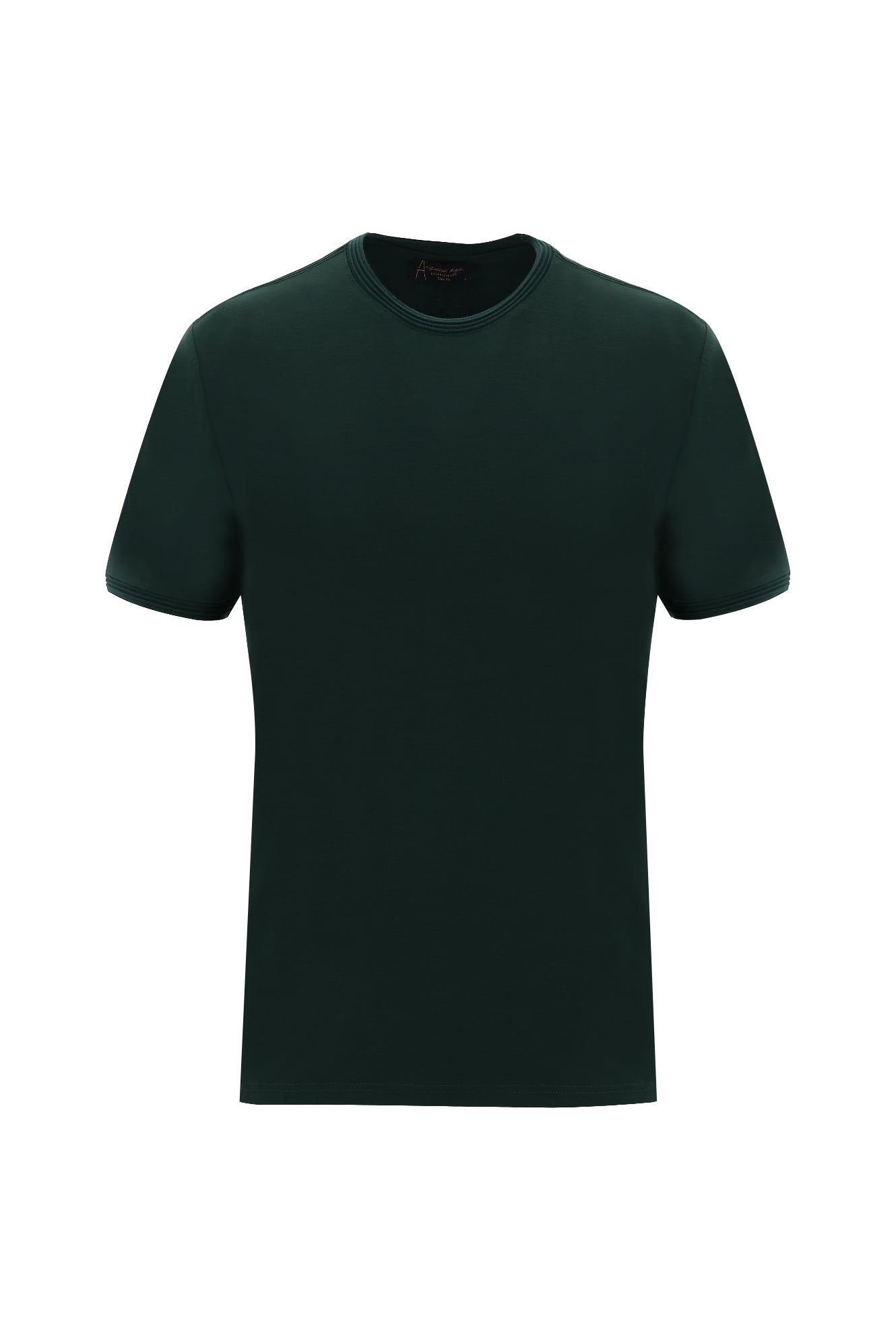 Koyu Ye?il Bisiklet Yaka Slim Fit Dar Kesim T-shirt-Abdullah Ki??l?