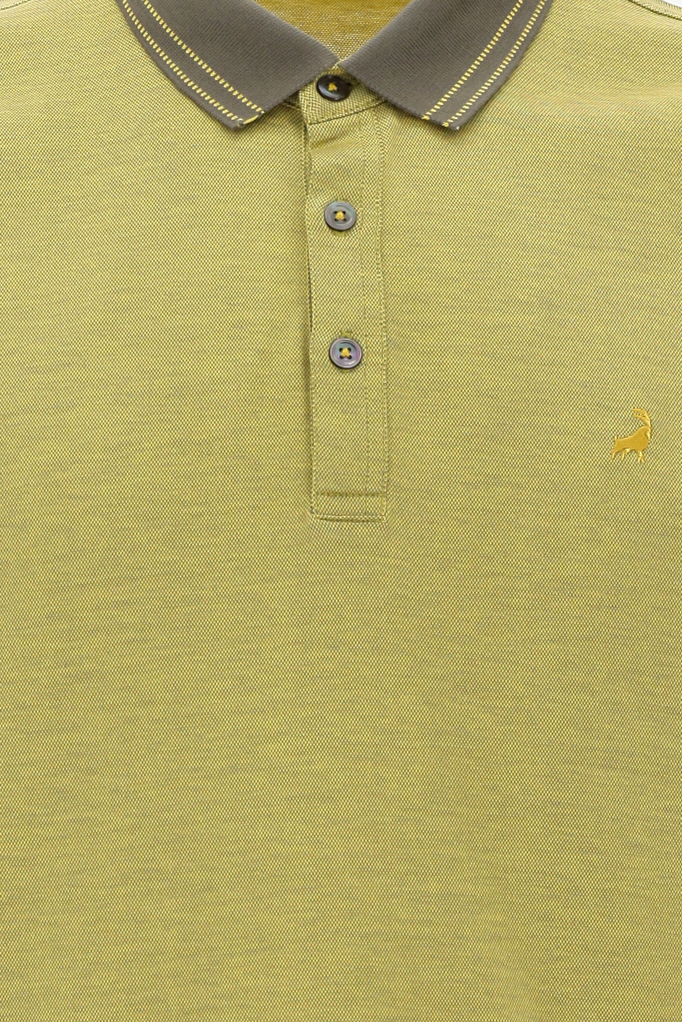 Açık Sarı Polo Yaka Regular Fit Nakışlı Merserize Pamuk T-shirt