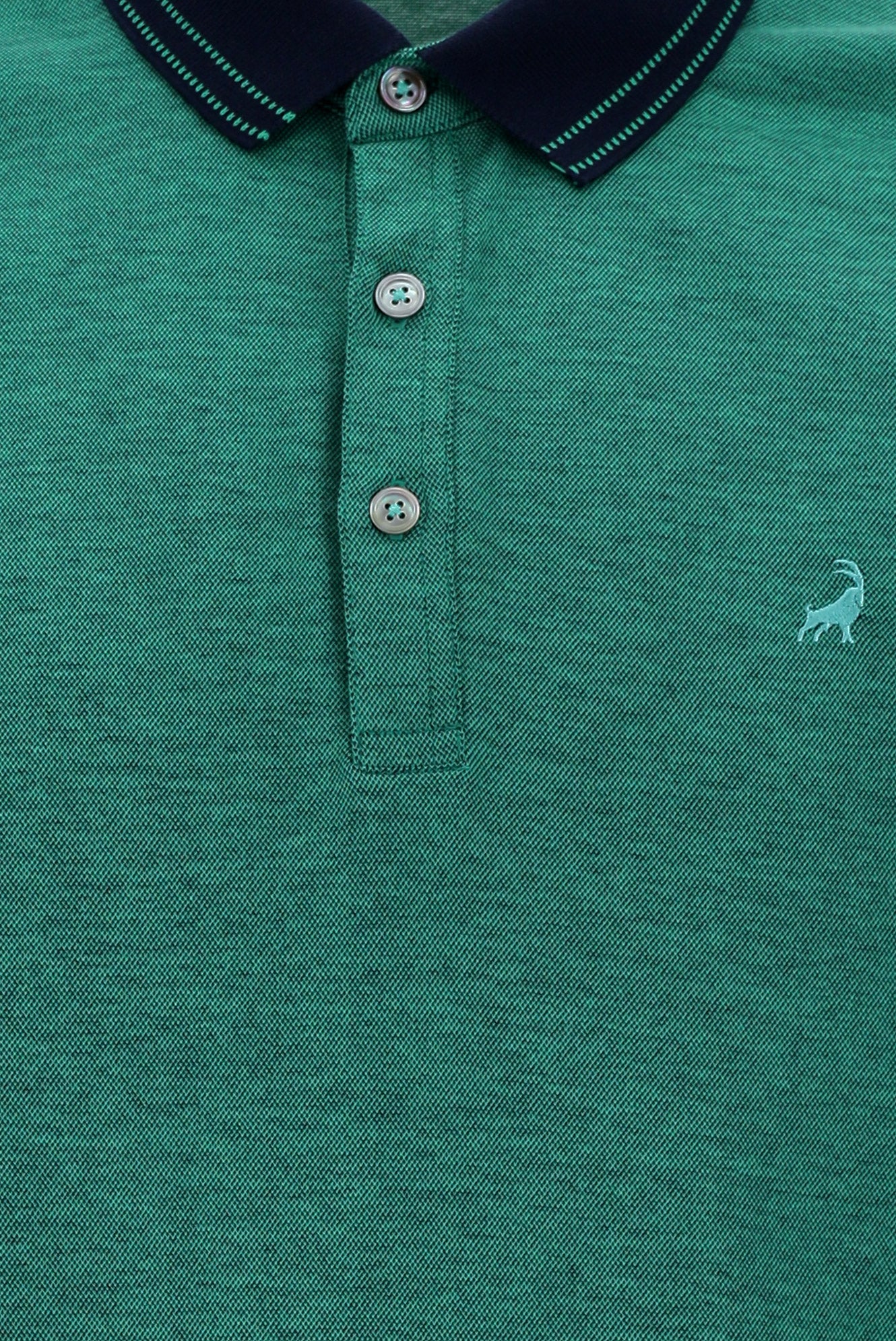 Çimen Yeşili Polo Yaka Regular Fit Nakışlı Merserize Pamuk T-shirt