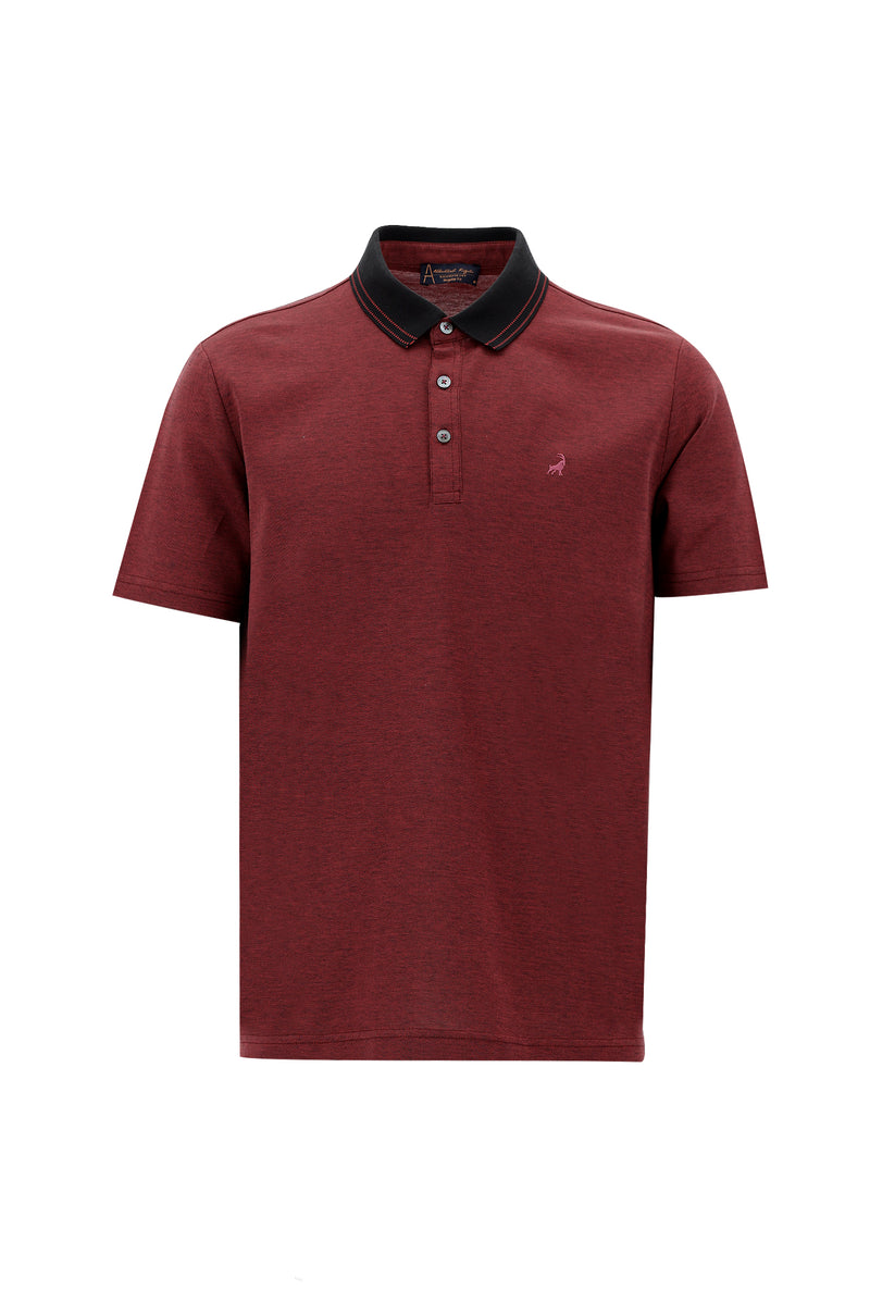 Orta Antrasit Polo Yaka Regular Fit Nakışlı Merserize Pamuk T-shirt
