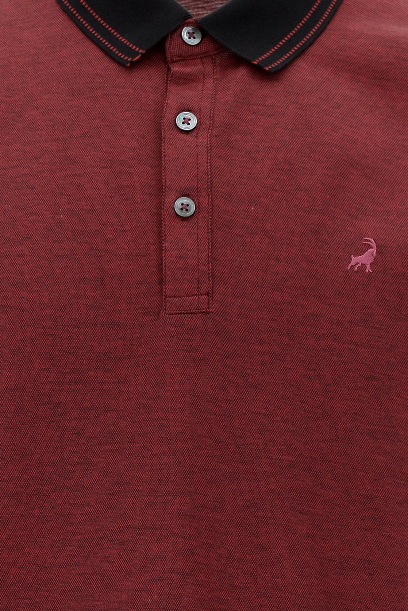 Orta Antrasit Polo Yaka Regular Fit Nakışlı Merserize Pamuk T-shirt