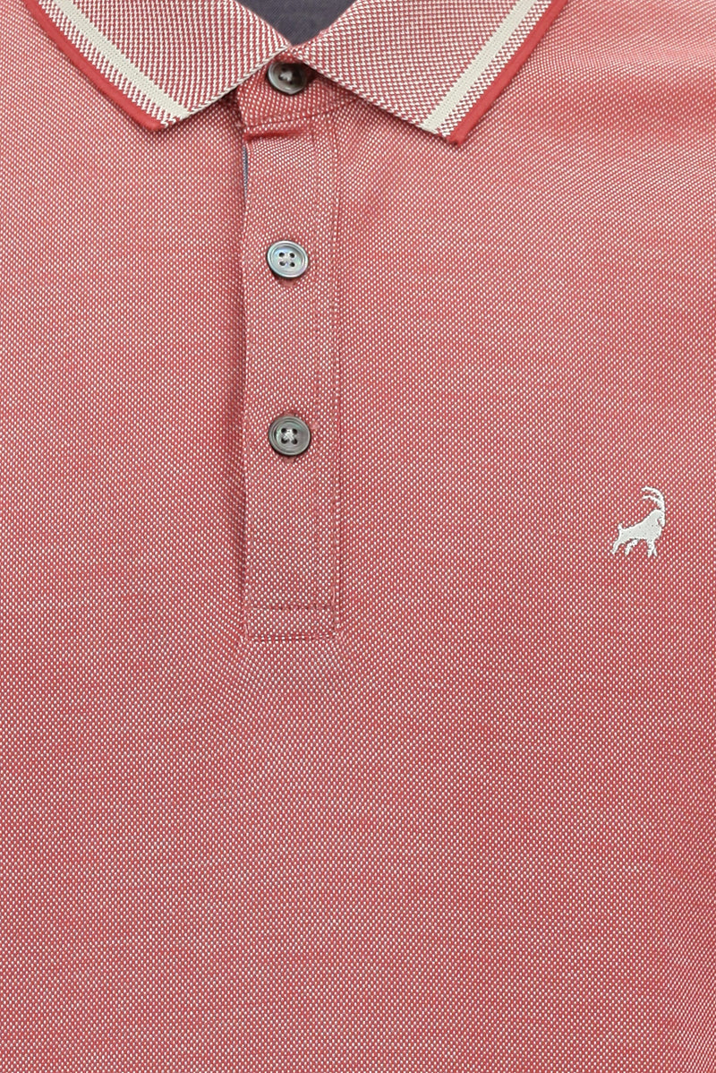 Kiremit Polo Yaka Regular Fit Nakışlı Merserize Pamuk T-shirt