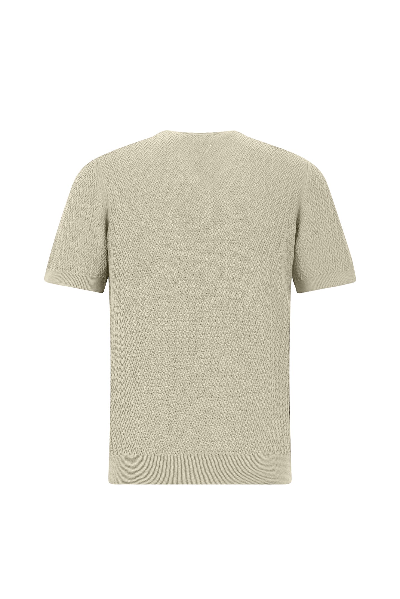Orta Bej Bisiklet Yaka Regular Fit Desenli Pamuk İtalyan Triko T-shirt