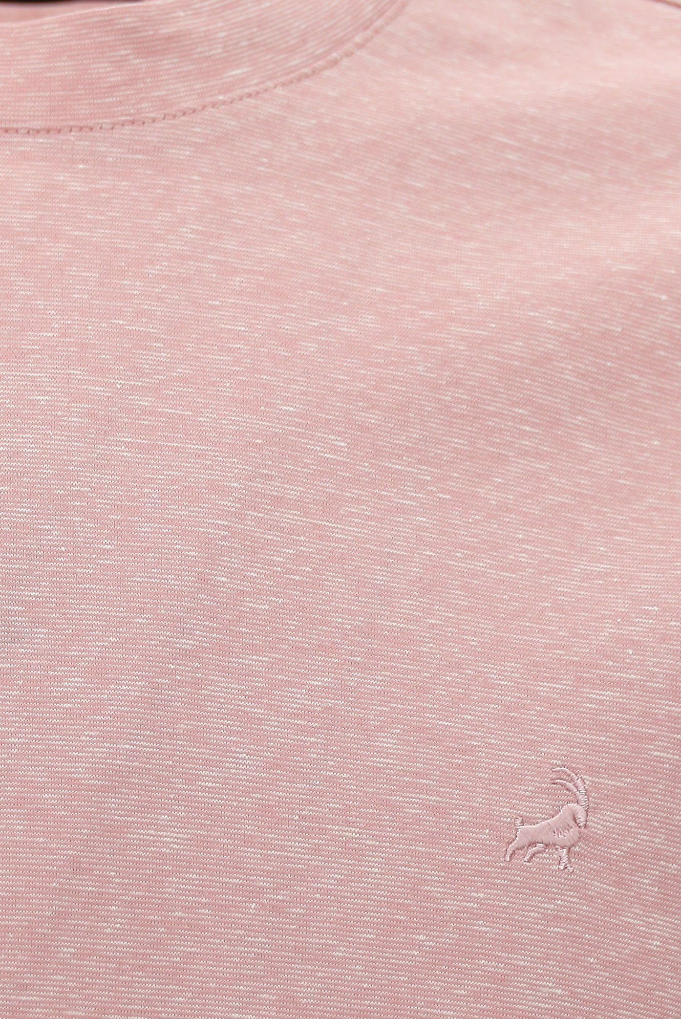 Toz Pembe Bisiklet Yaka Regular Fit Nakışlı Pamuklu Keten Çizgili T-shirt