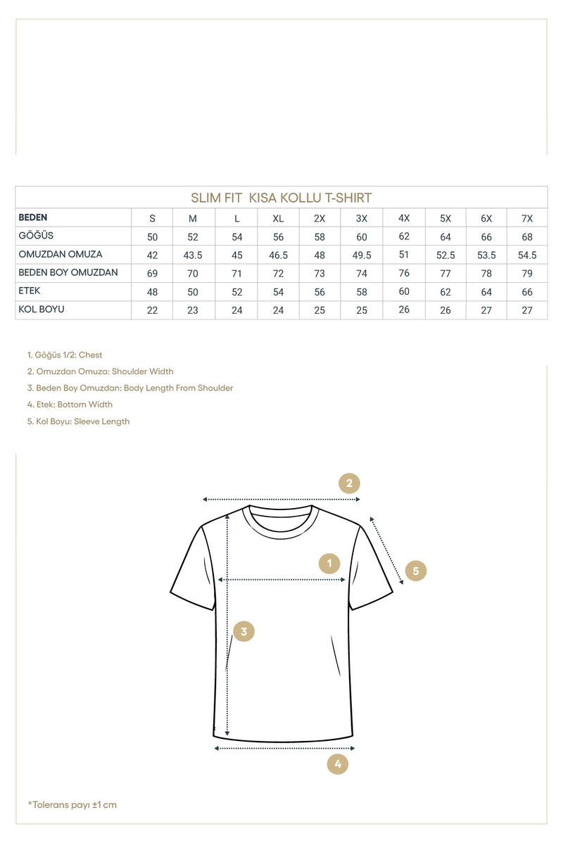 Siyah Bisiklet Yaka Slim Fit Dar Kesim Pamuklu Örme İpek Karışımlı T-shirt