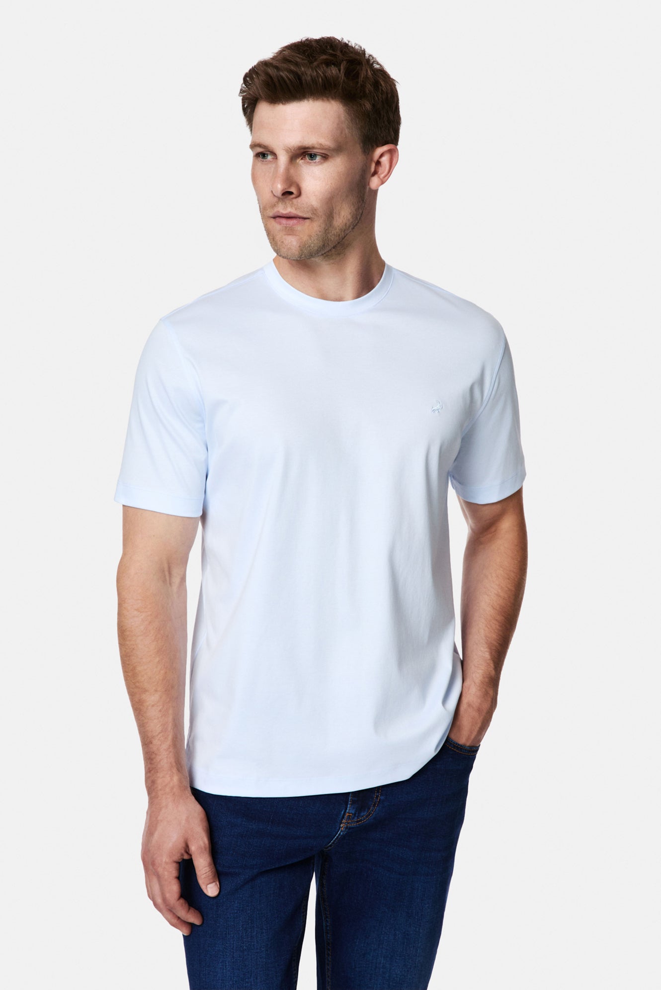 Açık Mavi Bisiklet Yaka Regular Fit Nakışlı %100 Pamuk Basic T-shirt