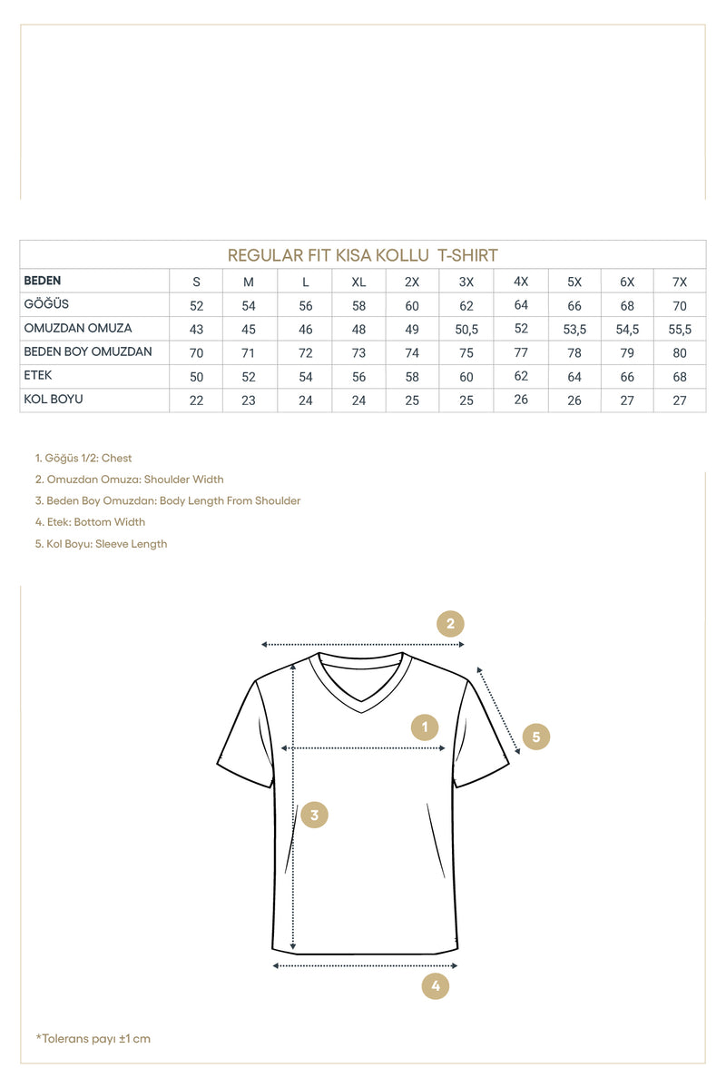 Siyah V Yaka Regular Fit Nakışlı Pamuklu T-shirt